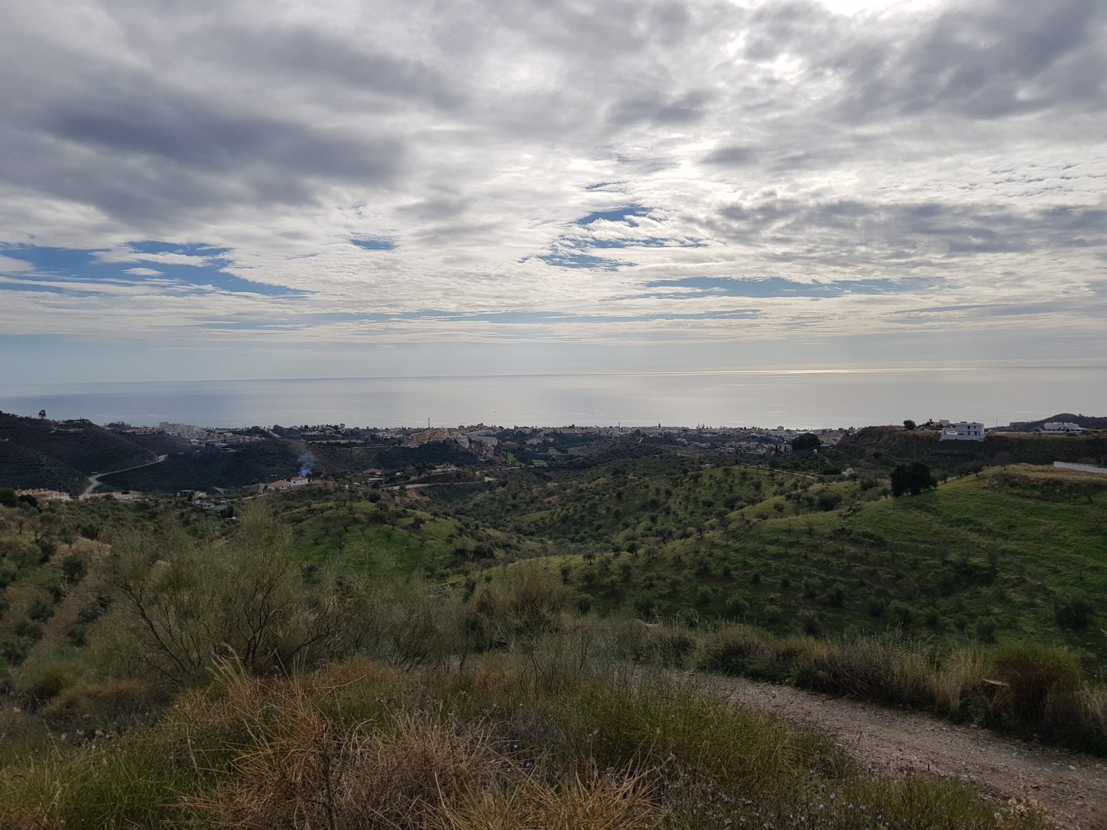 Ordenar el campo 20201129 124859 Scaled