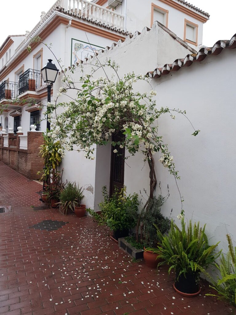 Ordenar el campo 20210427 083907 768x1024